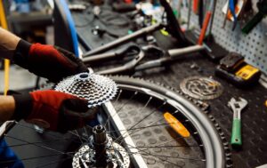 Beginner Road Biking: Everything You Need to Get Started