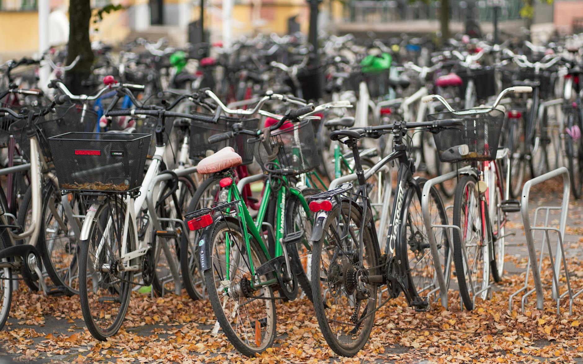 Felix Hewitt 19 Cambridge Proves Protected Bike Lanes Work: 250% More Cyclists in 20 Years