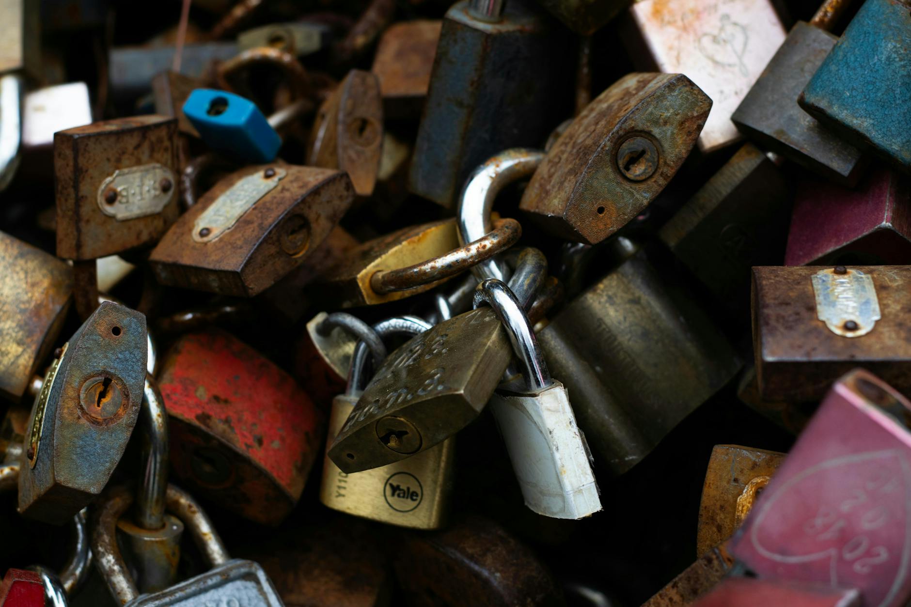 Riley Nicholas 22 Best Bike Locks: Security Ratings & Theft Prevention Guide