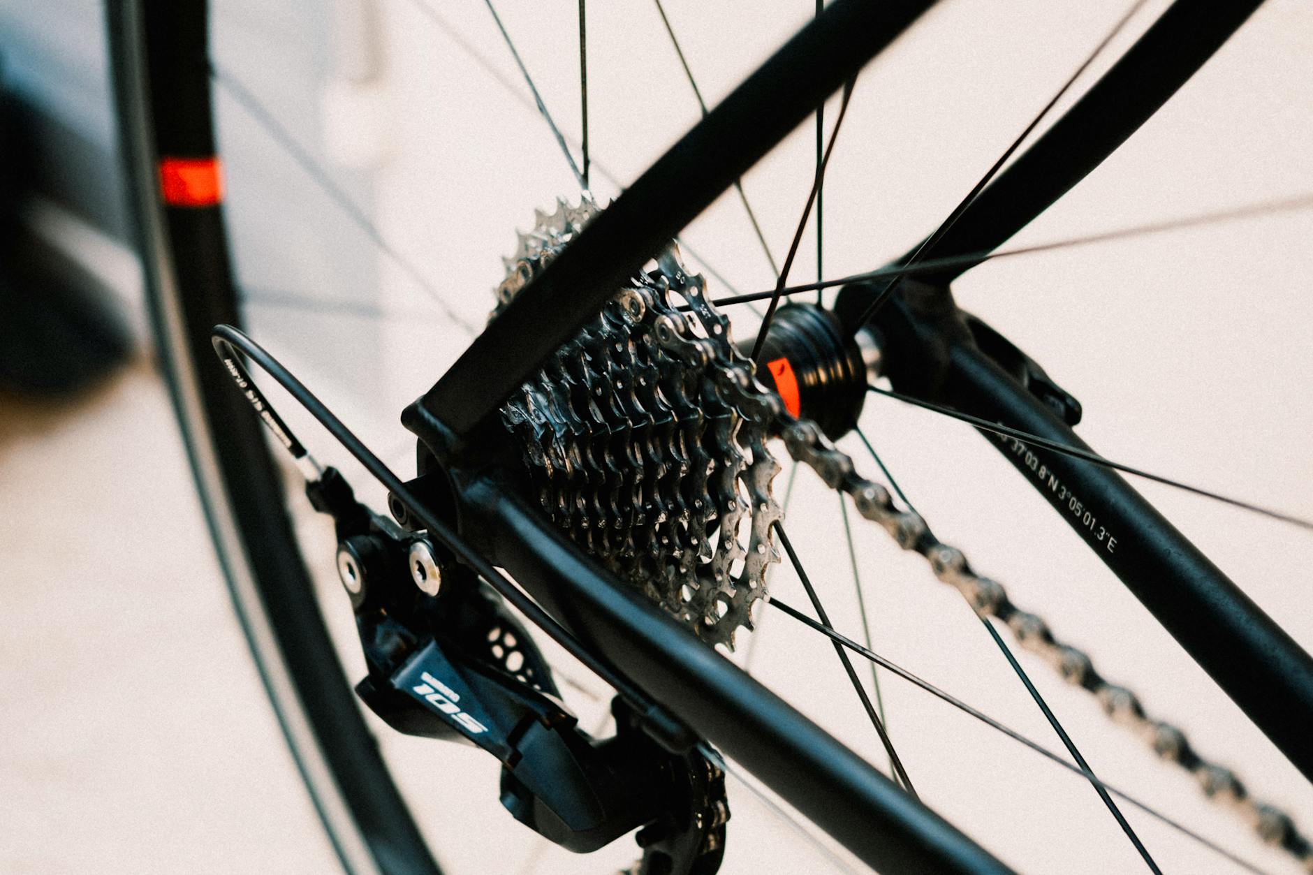 Amber Sayer 16 Best Bikes Under $2,000: Road, Gravel, and Hybrid Picks for 2026