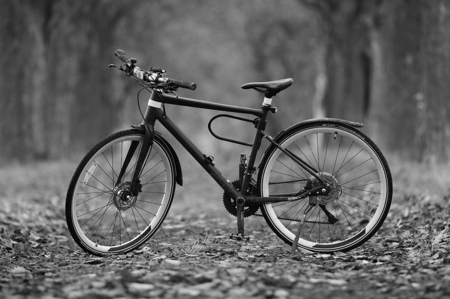 Homepage 19 Bike Theft Prevention: How to Keep Your Bike Safe