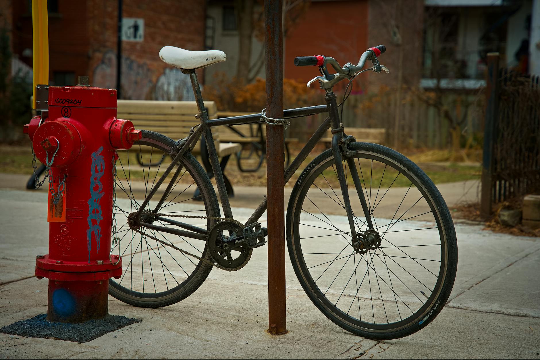 Jessy Carveth 18 Berkeley's Hopkins Street Bike Lane Battle: Why One Road Captures Cycling's Biggest Urban Fight