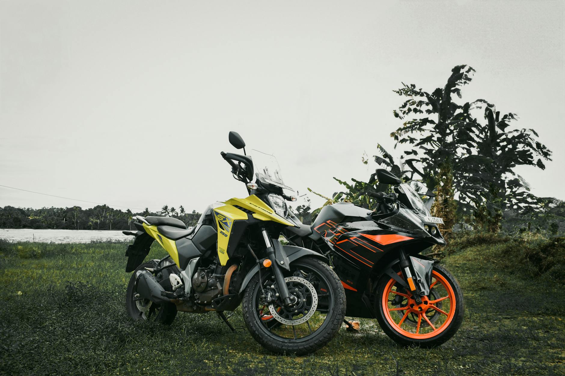Riley Nicholas 18 Best Bikes Under $1,000: Top Picks for Every Riding Style