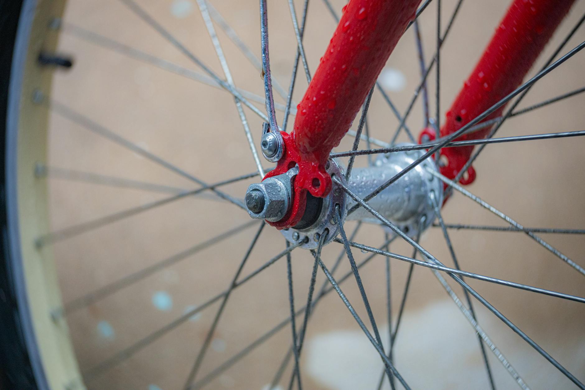 Adam Rabo 8 Berd Polymer Spokes Go Pro: Trek and Cannondale Teams Adopt Revolutionary Wheel Tech