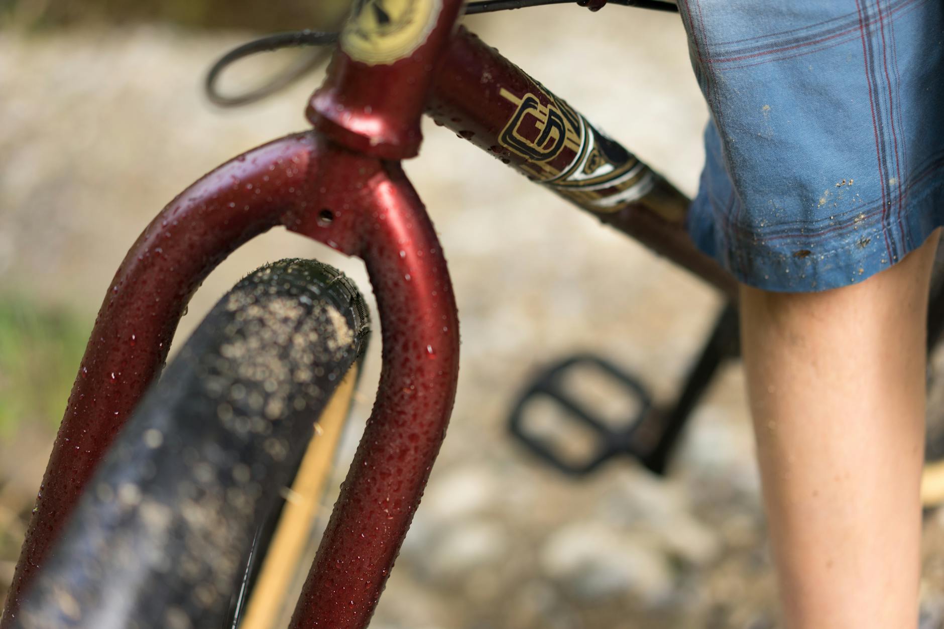 Adam Rabo 13 Gravel Bike Setup and Geometry: How to Dial In Your Perfect Ride