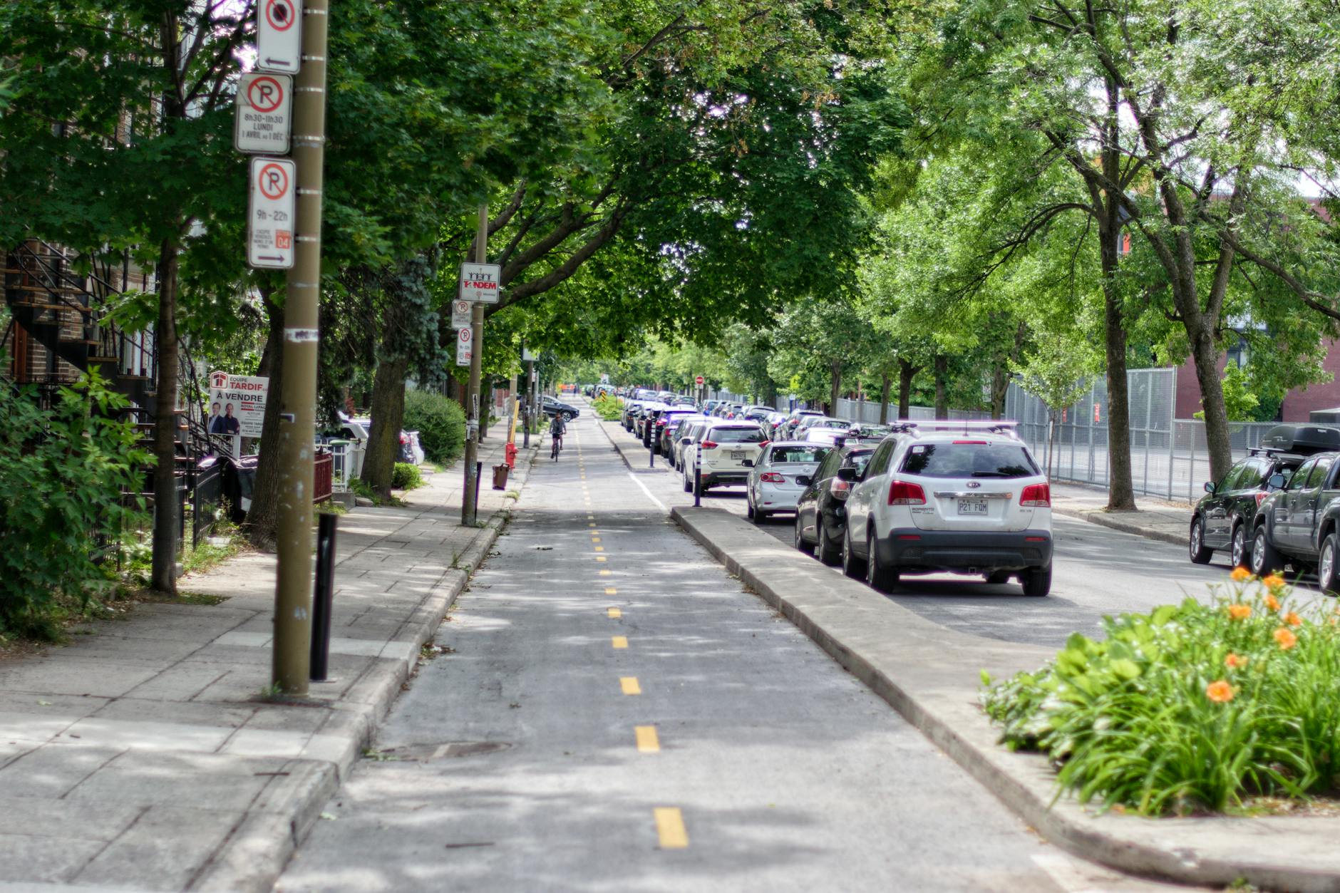 David Lavery 2 US Bike Infrastructure Faces Major Funding Cuts