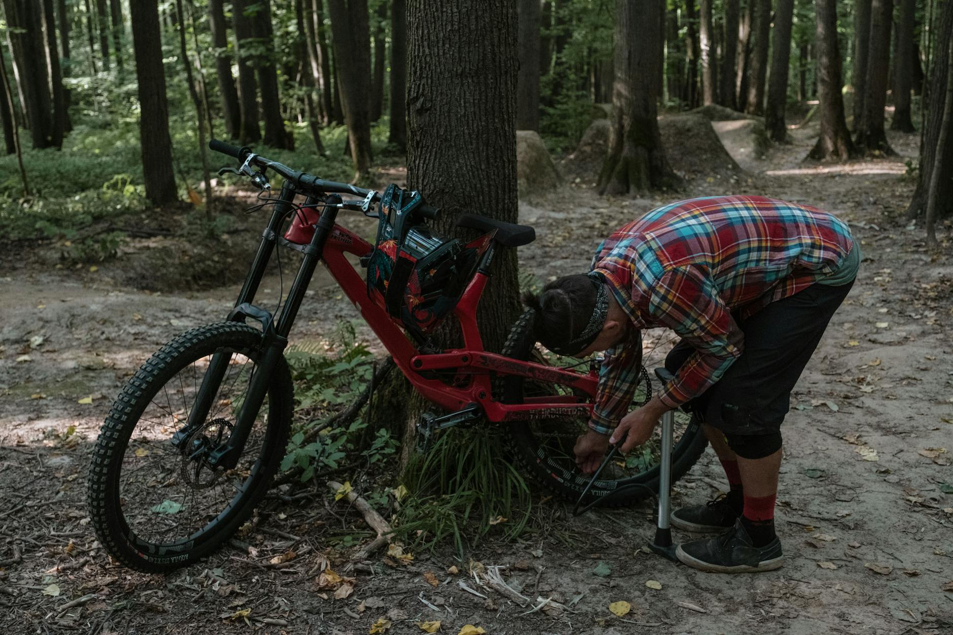 David Lavery 27 How To Fix a Flat Tire on a Bike: A Step-by-Step Guide