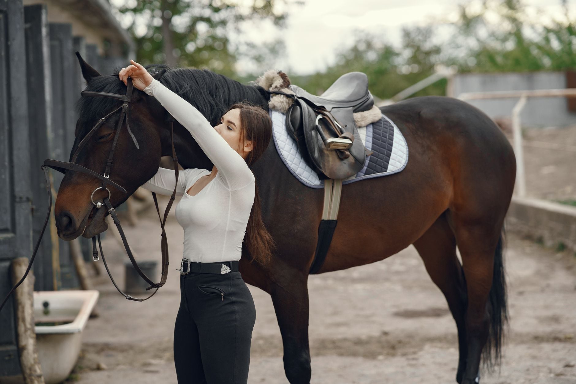 Ben Gibbons 3 How to Set Your Saddle Height: A Complete Guide